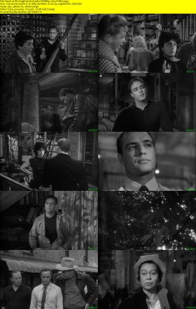The Fugitive Kind 1960 WEBRip x264-ION10