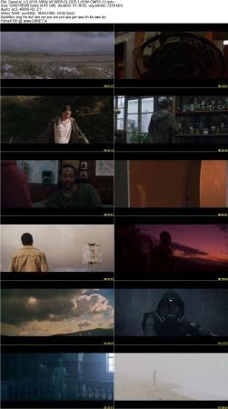 IO 2019 1080p NF WEB-DL H264-CMRG