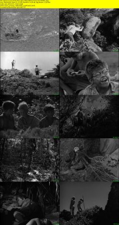 Lord of the Flies 1963 1080p BluRay H264 AAC-RARBG
