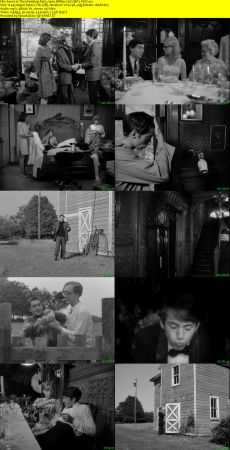 The Wedding Party 1969 BRRip XviD MP3-XVID