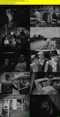 The Grapes of Wrath 1940 BRRip XviD MP3-XVID