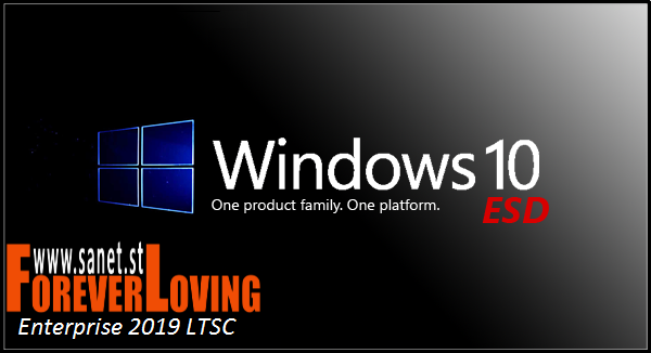 Windows 10 Enterprise 2019 LTSC X64 OEM en-US January 2019