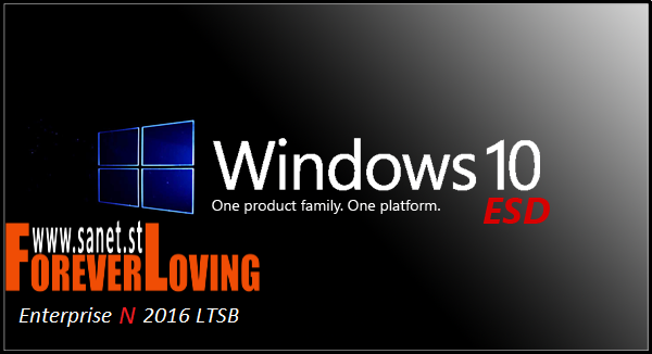 Windows 10 Enterprise N 2016 LTSB X64 ESD en-US January 2019
