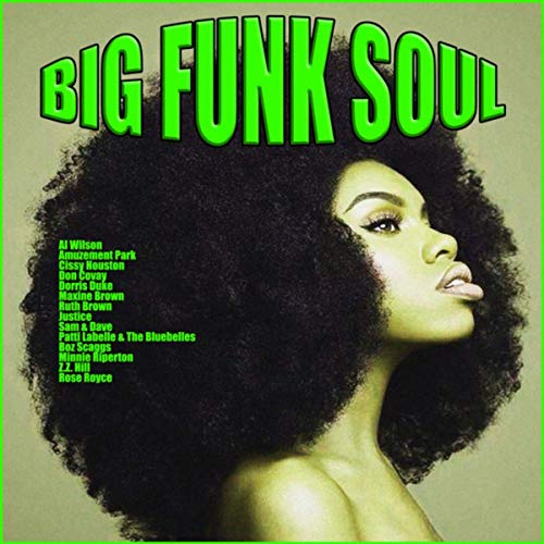 Download VA - Big Funk Soul (2019) FLAC - SoftArchive