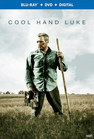 Cool Hand Luke 1967 720p BluRay x264-x0r