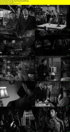Out of the Past 1947 1080p BluRay H264 AAC-RARBG