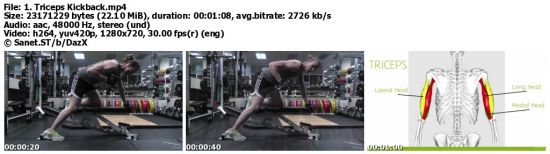Earn a Lean Physique A Training and Nutrition Plan