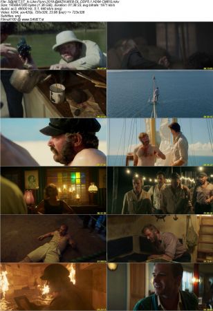 In Like Flynn 2019 AMZN WEB-DL DDP5.1 H264-CMRG