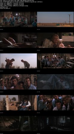 Cool Hand Luke 1967 720p BluRay x264-x0r