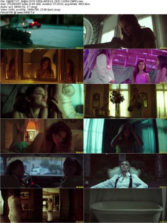 Braid 2019 1080p WEB-DL DD5.1 H264-CMRG
