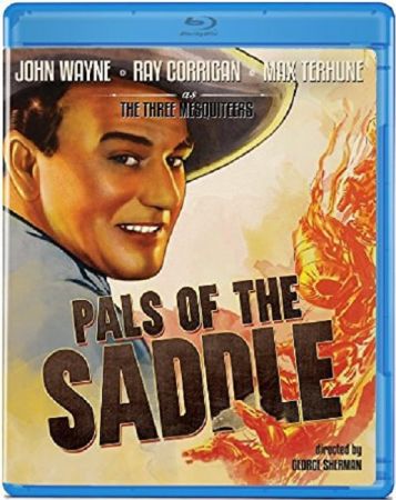 Pals Of The Saddle 1938 BRRip XviD MP3-XVID