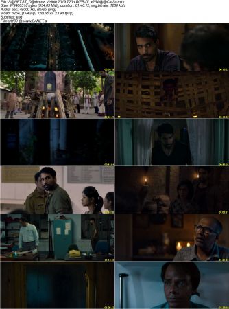 Darkness Visible 2019 720p WEB-DL x264 AAC-eSc