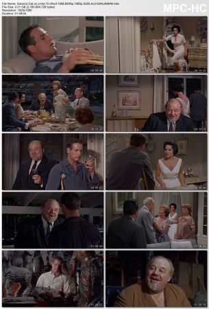 Cat on a Hot Tin Roof 1958 BDRip 1080p X265 Ac3-GANJAMAN