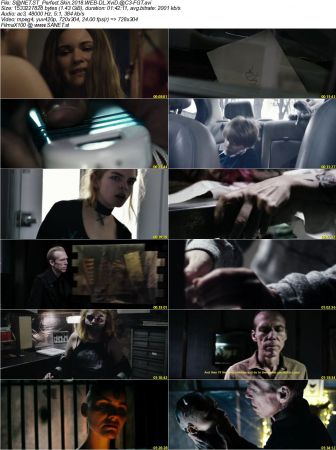 Perfect Skin 2018 WEB-DL XviD AC3-FGT