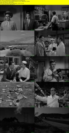 Tarantula 1955 720p BluRay H264 AAC-RARBG