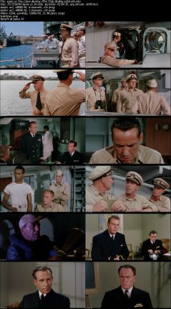 The Caine Mutiny 1954 720p BluRay x264-x0r