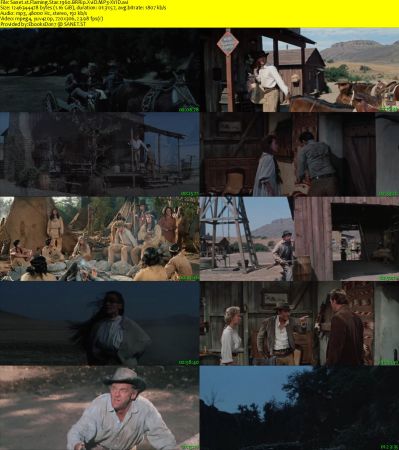 Flaming Star 1960 BRRip XviD MP3-XVID