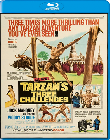 Tarzans Three Challenges 1963 BRRip XviD MP3-XVID