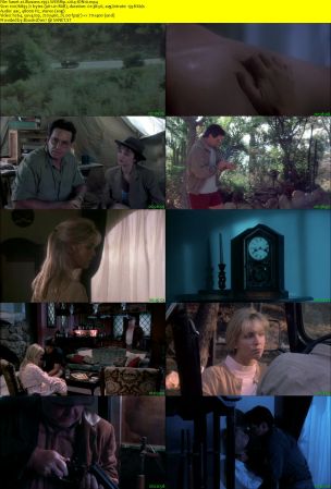 Illusions 1992 WEBRip x264-ION10