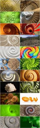 Conceptual illustration spiral staircase shell flower 25 HQ Jpeg