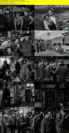 Stalag 17 1953 720p BluRay H264 AAC-RARBG
