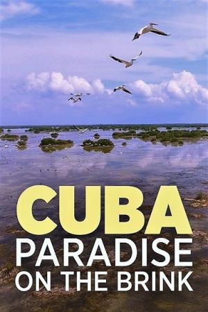 Arte - Cuba: A Paradise on the Brink (2017) 1080p HDTV x264 AAC MVGroup