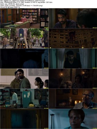 Darkness Visible 2019 WEB-DL x264-FGT