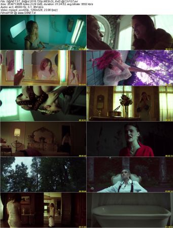 Braid 2018 720p WEB-DL XviD AC3-FGT
