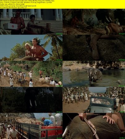 Tarzan Goes to India 1962 1080p BluRay H264 AAC-RARBG