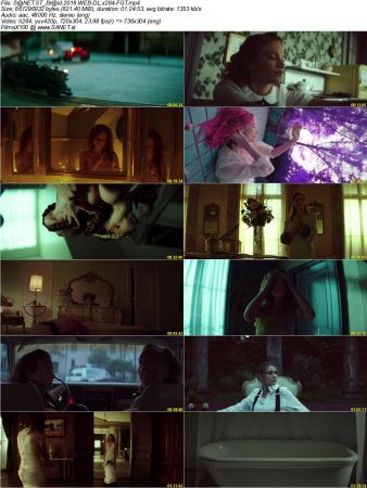 Braid 2018 WEB-DL x264-FGT