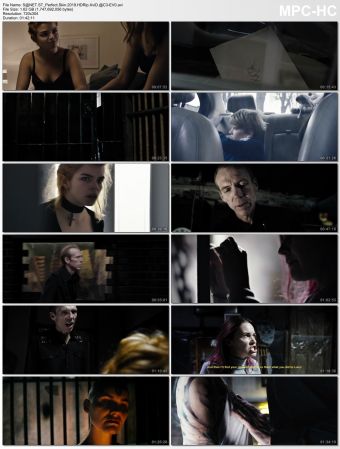 Perfect Skin 2019 HDRip XviD AC3-EVO