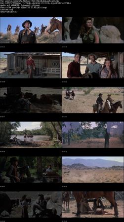 Comanche Station 1960 720p BluRay x264-x0r