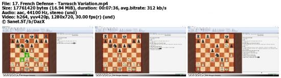 Chess Openings for White and Black Taught by a Grandmaster