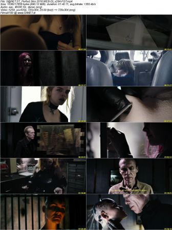 Perfect Skin 2018 WEB-DL x264-FGT