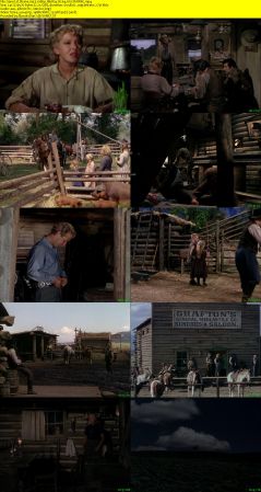Shane 1953 1080p BluRay H264 AAC-RARBG