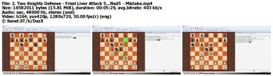 Chess Openings for White and Black Taught by a Grandmaster