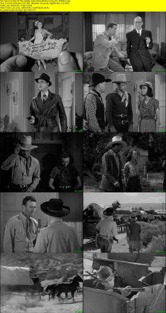 Pals Of The Saddle 1938 1080p BluRay H264 AAC-RARBG
