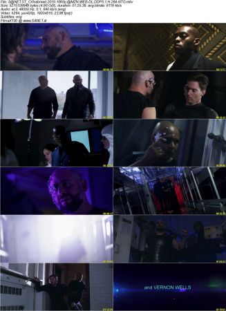 Crossbreed 2019 1080p AMZN WEBRip DDP5.1 x264-NTG