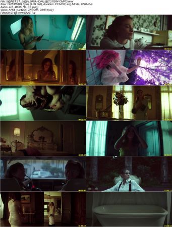 Braid 2019 HDRip AC3 X264-CMRG