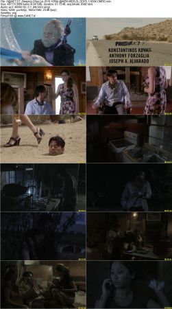 Sleeping Dogs Lie 2019 1080p AMZN WEB-DL DDP5.1 H264-CMRG