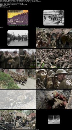 They Shall Not Grow Old 2018 720p BluRay x264-x0r