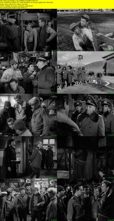 Stalag 17 1953 BRRip XviD MP3-XVID