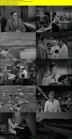 Tarantula 1955 BRRip XviD MP3-XVID