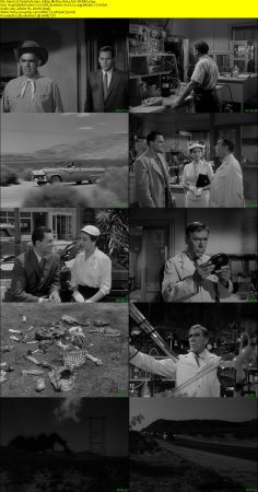 Tarantula 1955 1080p BluRay H264 AAC-RARBG
