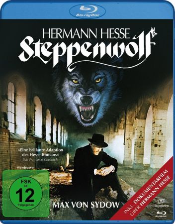 Steppenwolf 1974 1080p BluRay 10bit x265 HEVC AAC 2.0 Qman [UTR]