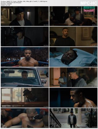 Creed II 2018 BluRay 10Bit 1080p AC-3 TrueHD 7.1 H265-d3g
