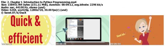 Hello! Programming with Python for Kids and Beginners