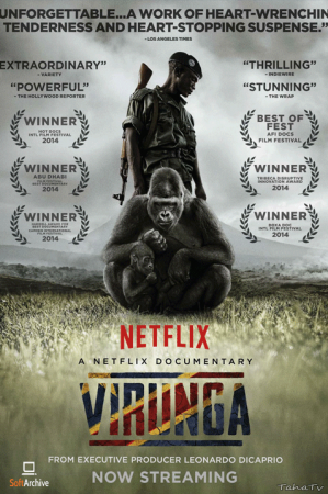 Virunga 2014 720p NF WEBRip DD5 1 x264-NTb