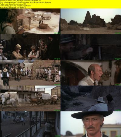 The Grand Duel 1972 BRRip XviD MP3-XVID