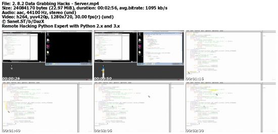 Remote Hacking Python Expert with Python 2.x and 3.x